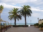 Noi due palme di fronte al mare