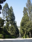 Giardino di Boboli: veduta