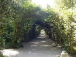 Giardino di Boboli: veduta