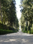 Giardino di Boboli: veduta