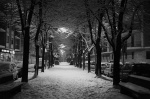 La neve nel viale