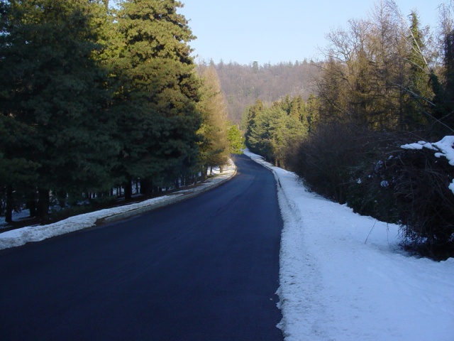 La lunga strada ci attende