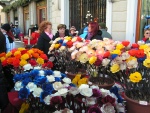 Fiori di legno, bellissimi