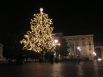 Piazza Bra by night: Albero di Natale